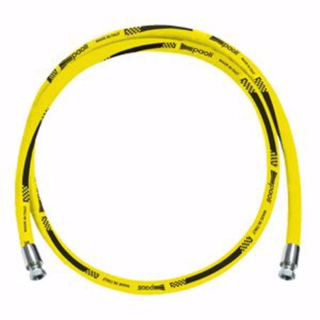 Picture for category Paoli Pitstop Hose Assemblies - 3/8" Female BSP Ends -  Straight Ends - YELLOW