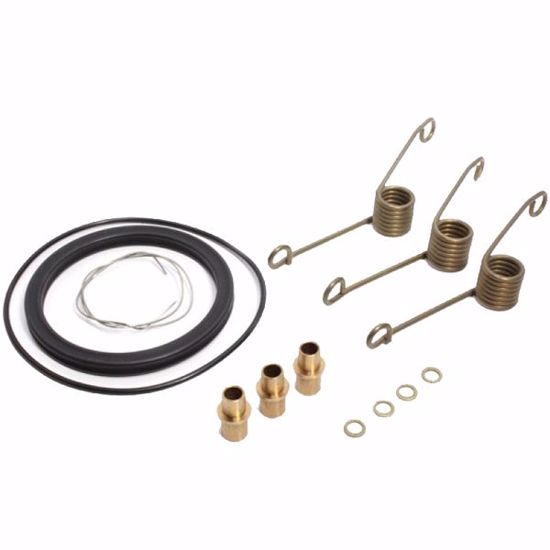 Picture of REPAIR KIT FOR 2" FEM DRY BREAK VALVE